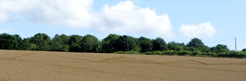 Longwood Road, Hampshire crop circle, aerial photo 26