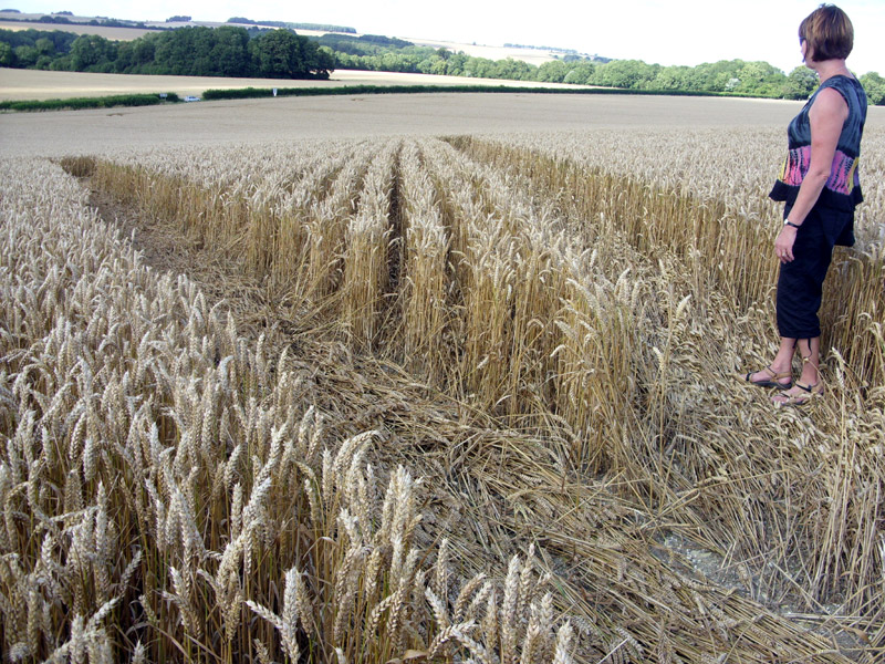 Longwood Road, Hampshire crop circle, aerial photo 23