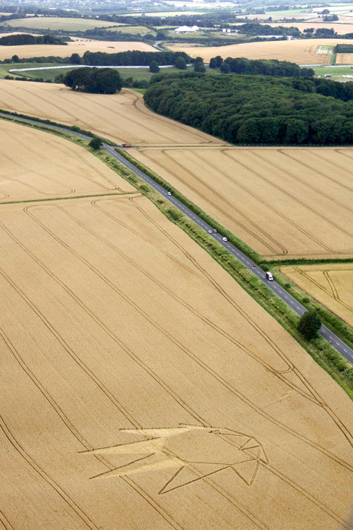 Longwood Warren, Hampshire crop circle, aerial photo 31