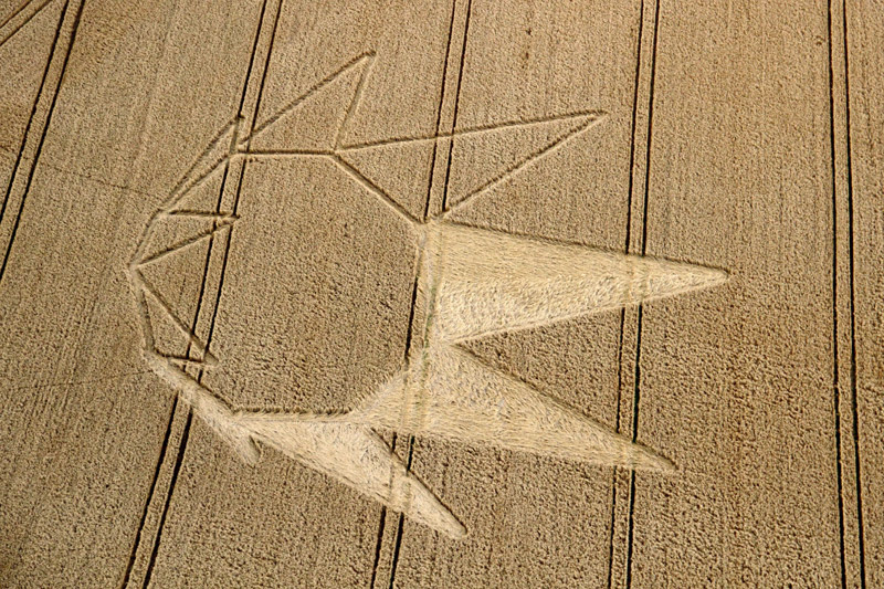Longwood Warren, Hampshire crop circle, aerial photo 6