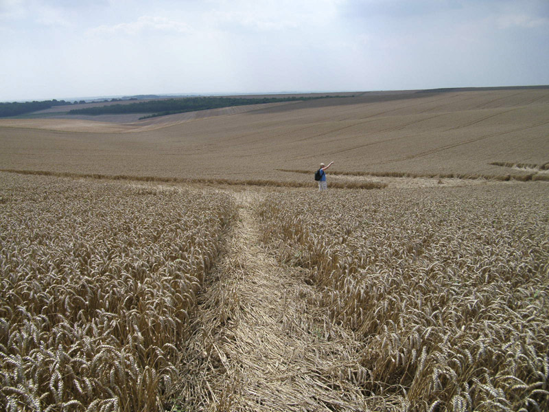 Longwood Warren, Hampshire crop circle, aerial photo 25