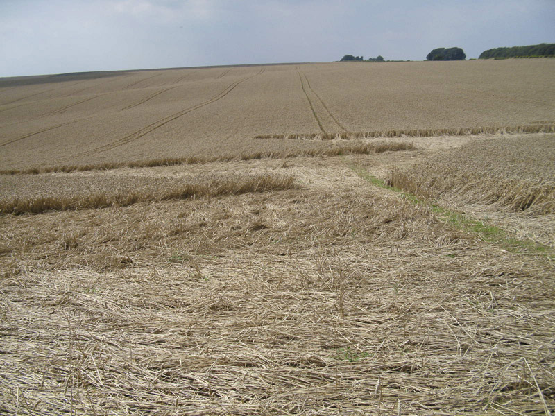 Longwood Warren, Hampshire crop circle, aerial photo 26