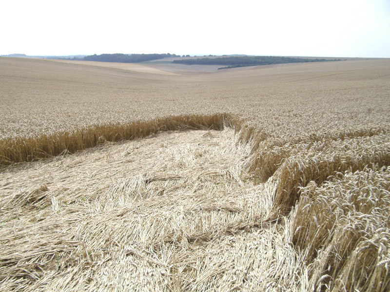 Longwood Warren, Hampshire crop circle, aerial photo 27