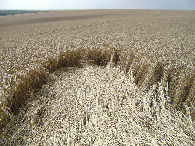 Longwood Warren, Hampshire crop circle, aerial photo 28