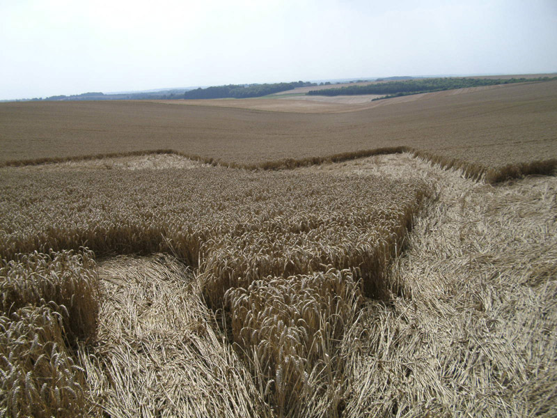Longwood Warren, Hampshire crop circle, aerial photo 29
