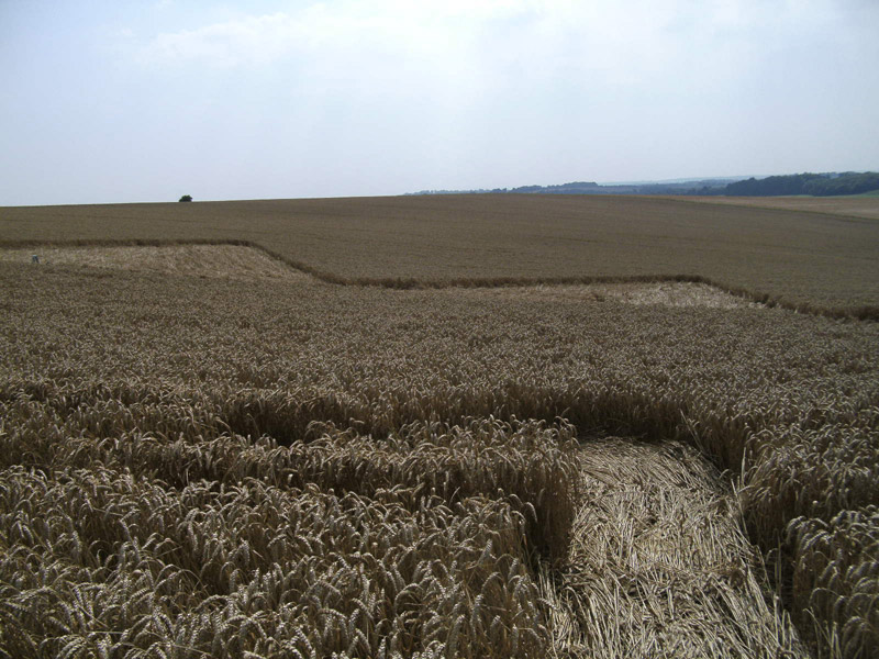 Longwood Warren, Hampshire crop circle, aerial photo 30