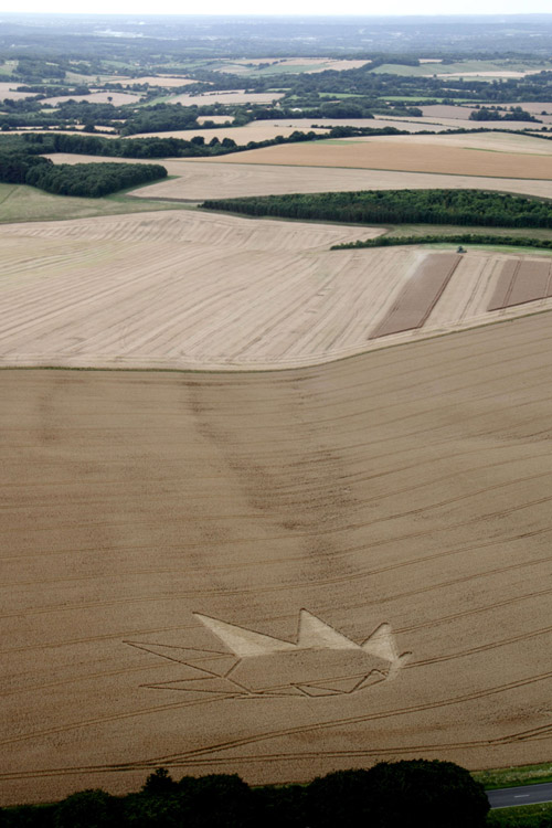 Longwood Warren, Hampshire crop circle, aerial photo 24