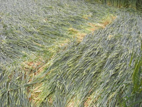 Manton Drove, Wiltshire crop circle, aerial photo 122