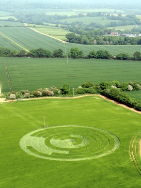 Manton Drove, Wiltshire crop circle, aerial photo 48