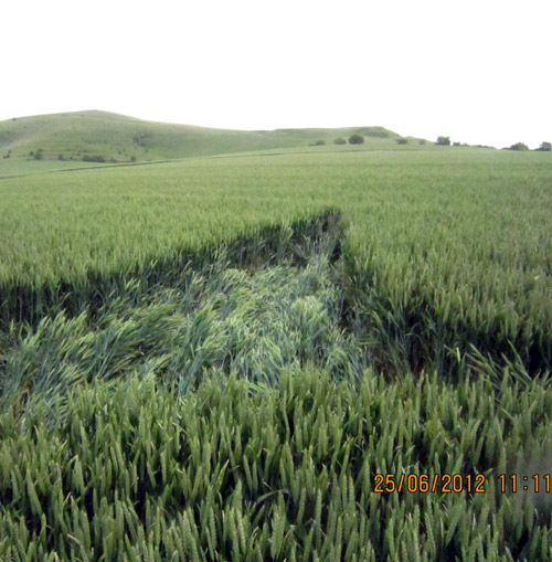 Milk Hill, Wiltshire crop circle, aerial photo 27
