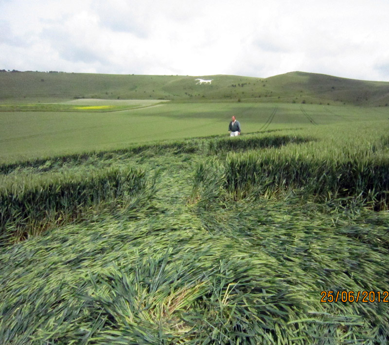Milk Hill, Wiltshire crop circle, aerial photo 21