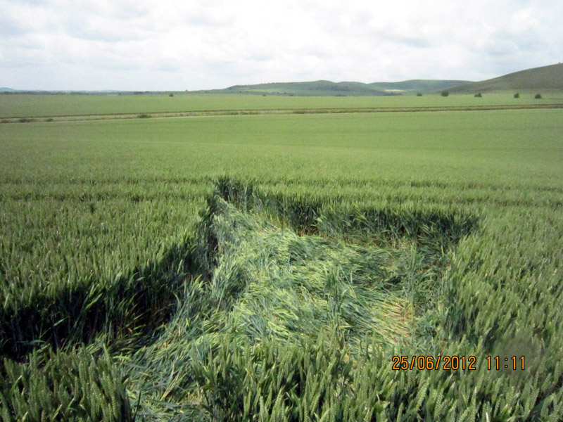 Milk Hill, Wiltshire crop circle, aerial photo 23