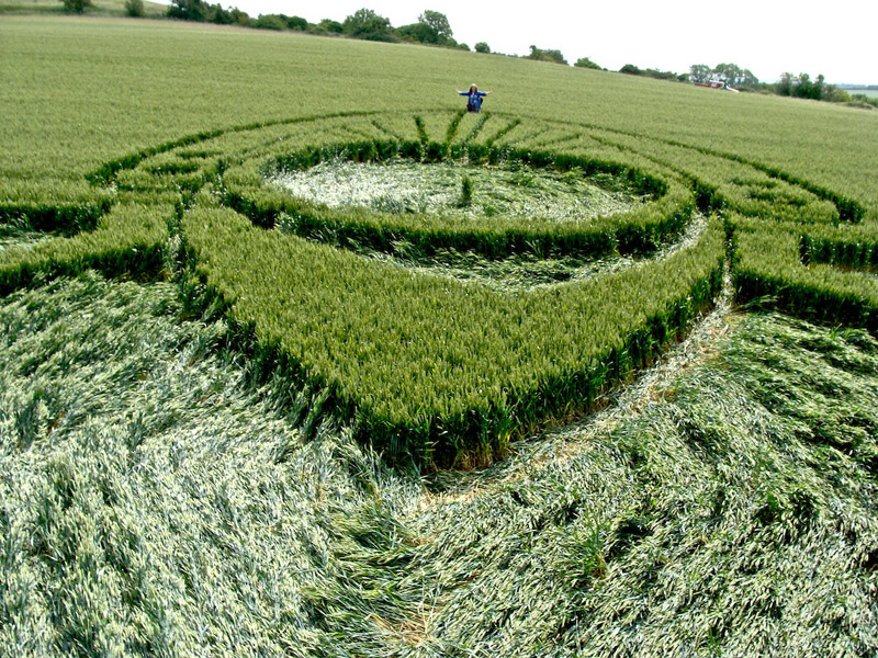 Milk Hill, Wiltshire crop circle, aerial photo 28