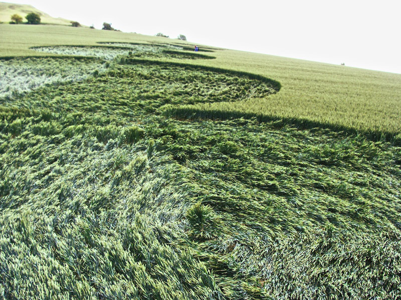 Milk Hill, Wiltshire crop circle, aerial photo 29