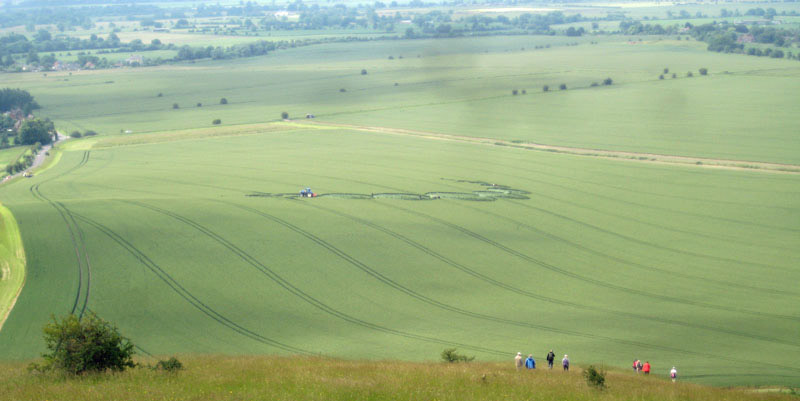Milk Hill, Wiltshire crop circle, aerial photo 30