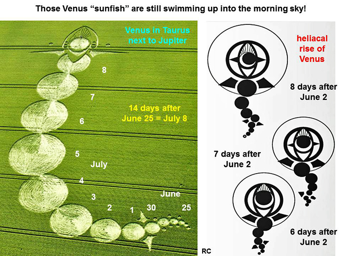 Milk Hill, Wiltshire crop circle, aerial photo 8