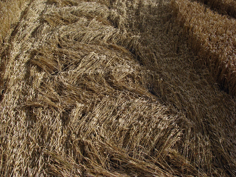 Milk Hill (2), Wiltshire crop circle, aerial photo 53