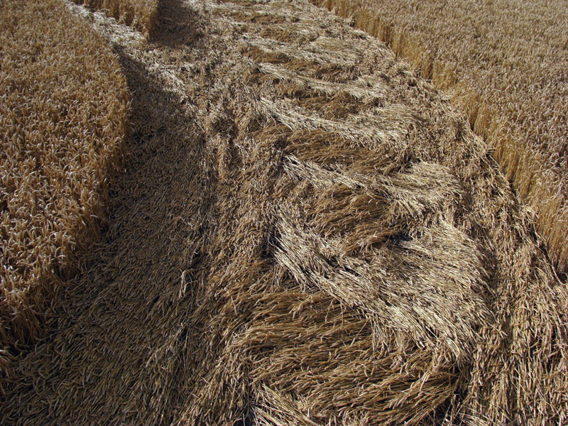 Milk Hill (2), Wiltshire crop circle, aerial photo 54