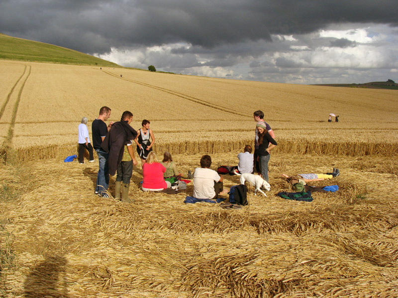 Milk Hill (2), Wiltshire crop circle, aerial photo 52