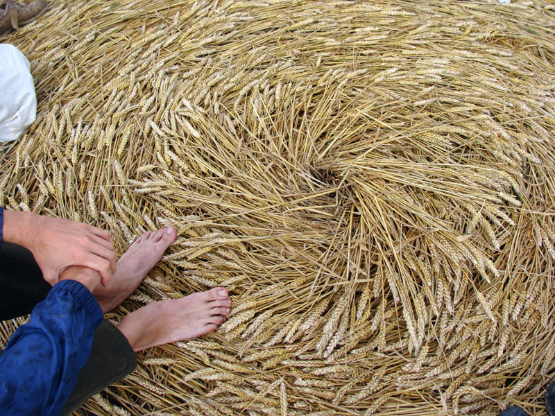 Milk Hill (2), Wiltshire crop circle, aerial photo 56