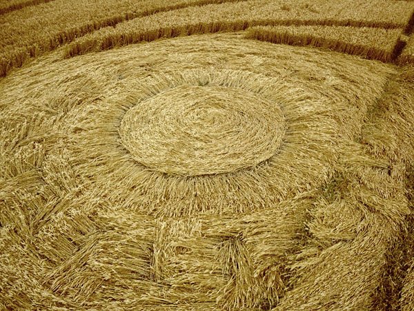 Milk Hill (2), Wiltshire crop circle, aerial photo 46