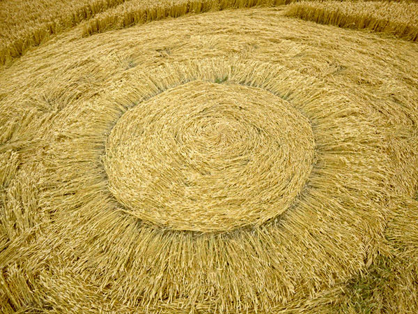 Milk Hill (2), Wiltshire crop circle, aerial photo 47