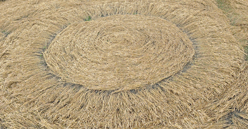 Milk Hill (2), Wiltshire crop circle, aerial photo 43