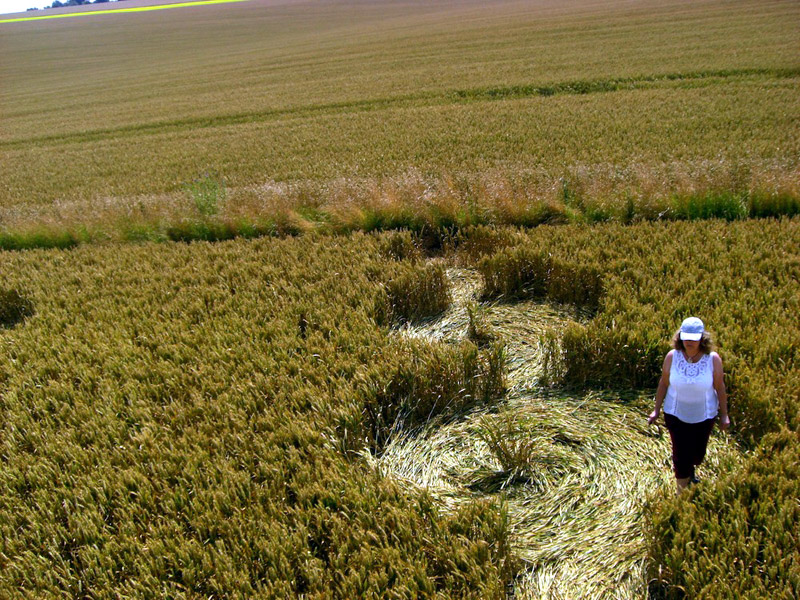 Oliver's Castle, Wiltshire crop circle, aerial photo 21