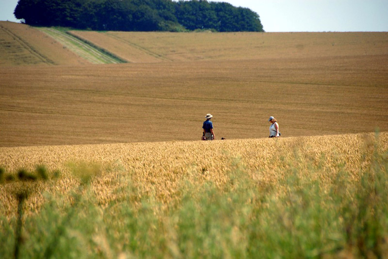 Oliver's Castle, Wiltshire crop circle, aerial photo 25
