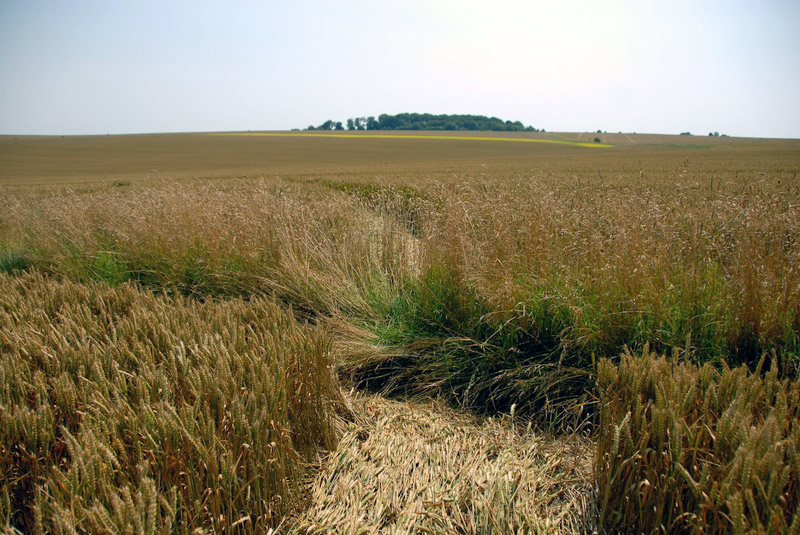 Oliver's Castle, Wiltshire crop circle, aerial photo 22