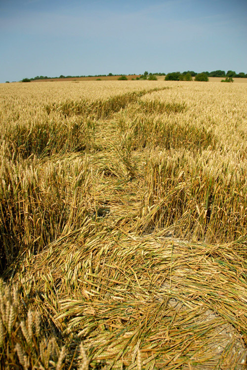 Oliver's Castle, Wiltshire crop circle, aerial photo 24