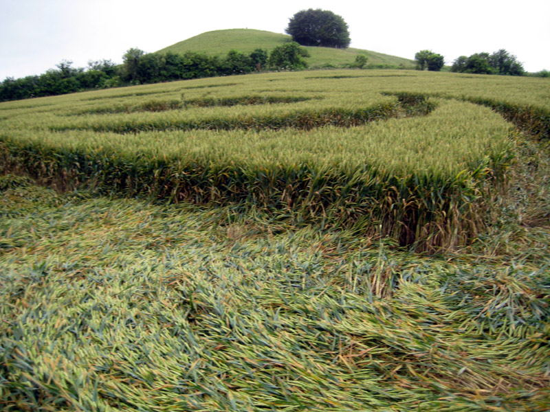 Picked Hill, Wiltshire crop circle, aerial photo 50