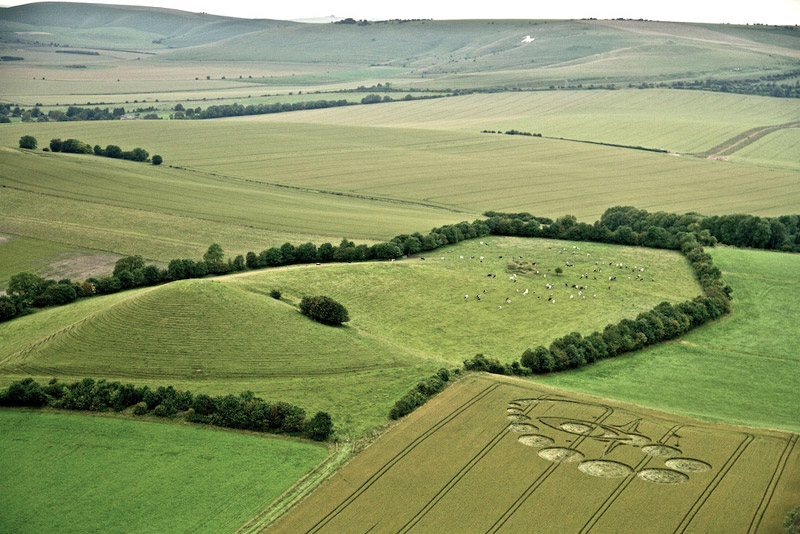 Picked Hill, Wiltshire crop circle, aerial photo 26