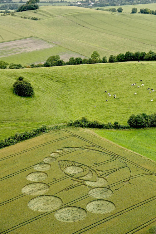 Picked Hill, Wiltshire crop circle, aerial photo 57