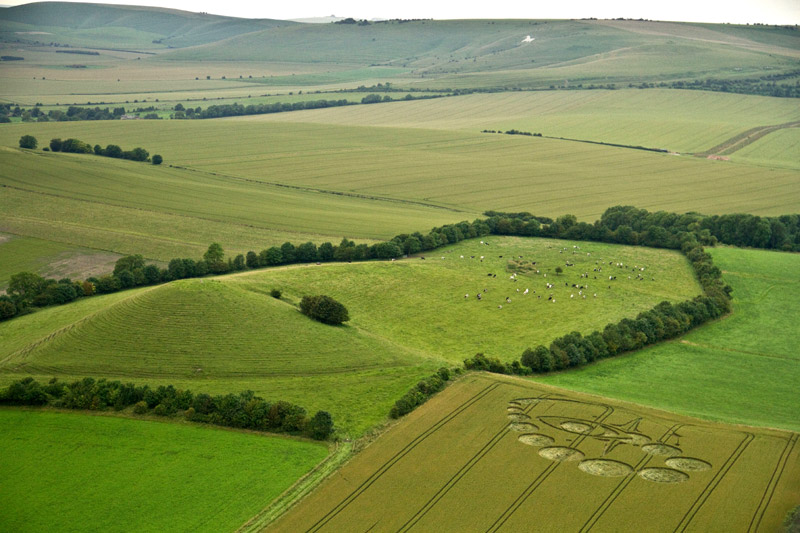 Picked Hill, Wiltshire crop circle, aerial photo 5