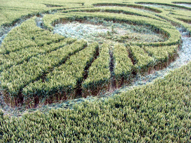Picked Hill, Wiltshire crop circle, aerial photo 51