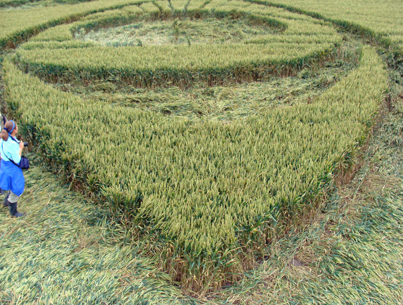 Picked Hill, Wiltshire crop circle, aerial photo 52