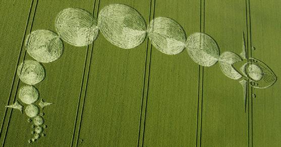 Picked Hill, Wiltshire crop circle, aerial photo 12