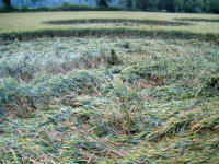 Picked Hill, Wiltshire crop circle, aerial photo 39