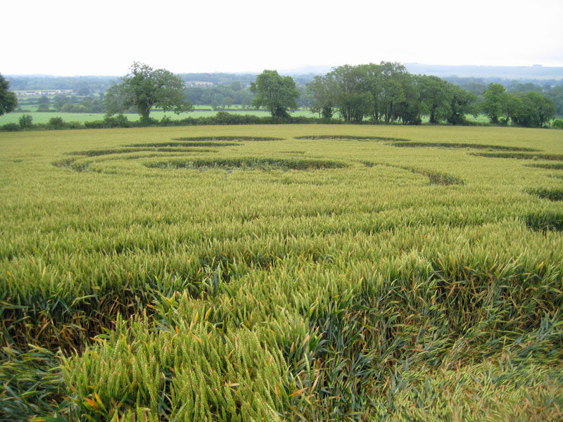 Picked Hill, Wiltshire crop circle, aerial photo 28