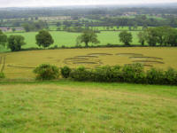 Picked Hill, Wiltshire crop circle, aerial photo 36
