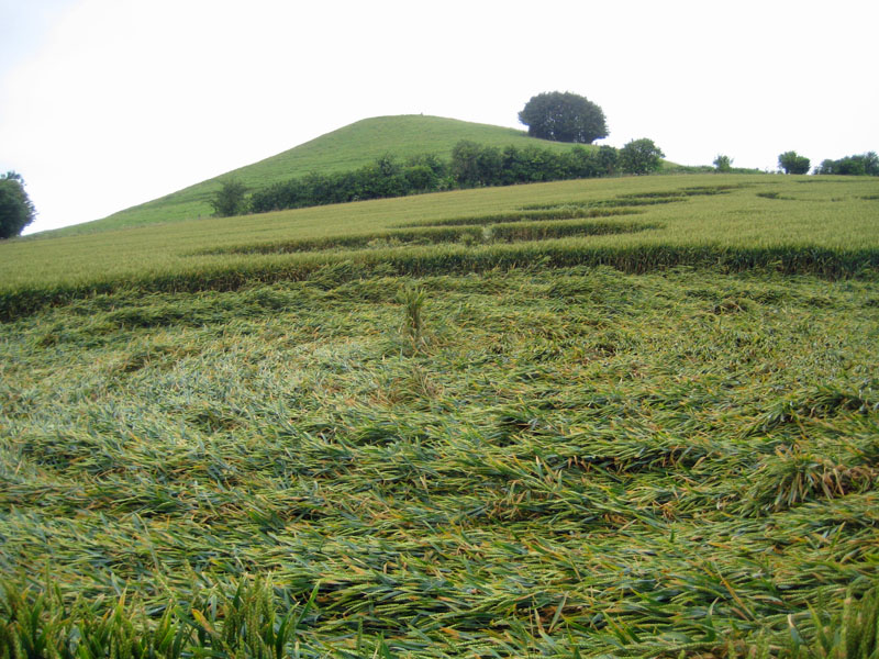 Picked Hill, Wiltshire crop circle, aerial photo 27