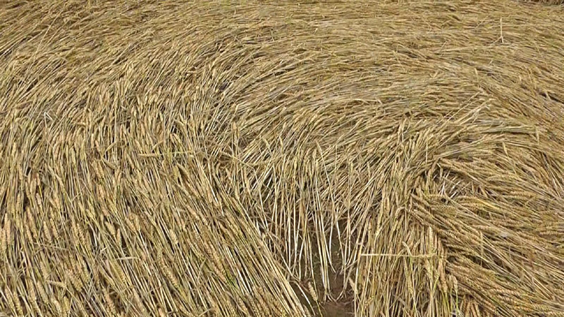Pickford, Warwickshire crop circle, aerial photo 16