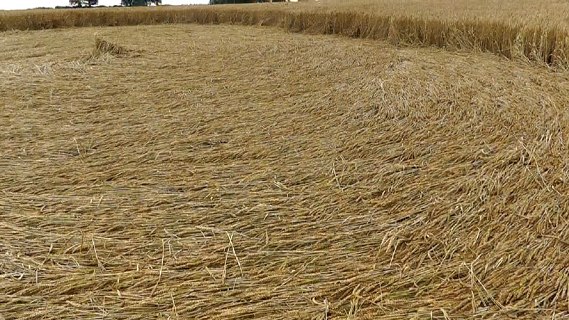 Pickford, Warwickshire crop circle, aerial photo 18