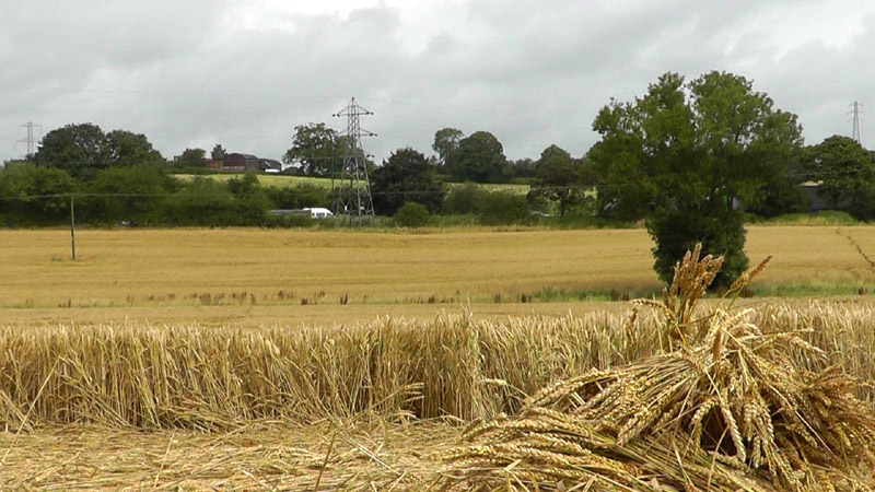 Pickford, Warwickshire crop circle, aerial photo 12