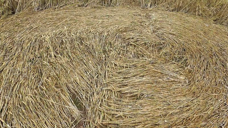 Pickford, Warwickshire crop circle, aerial photo 19