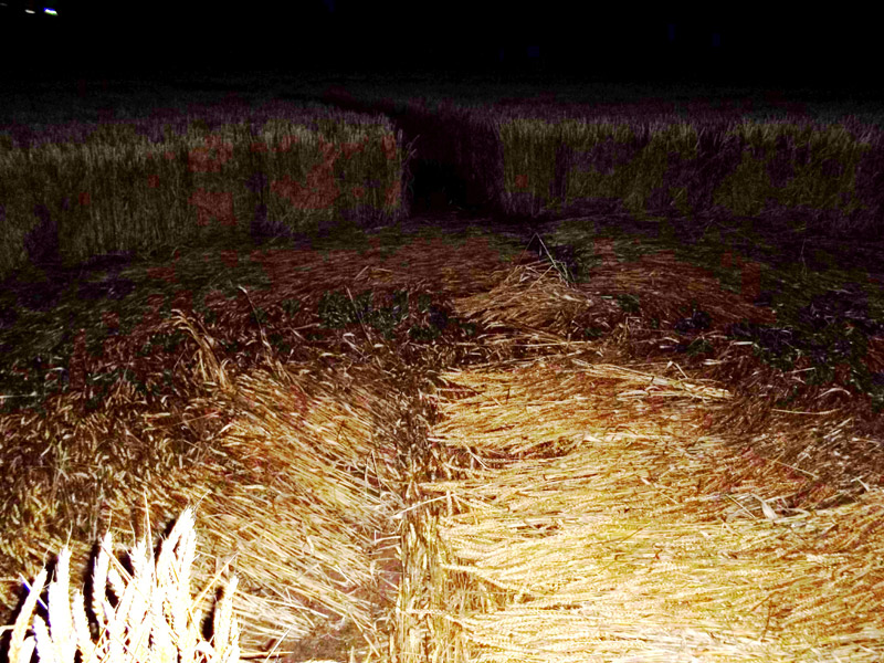 Pickford, Warwickshire crop circle, aerial photo 8