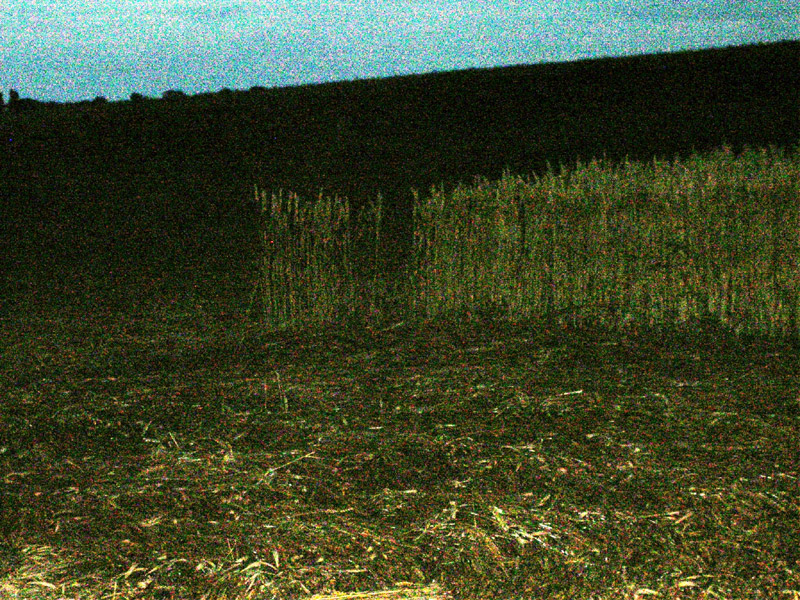 Pickford, Warwickshire crop circle, aerial photo 10