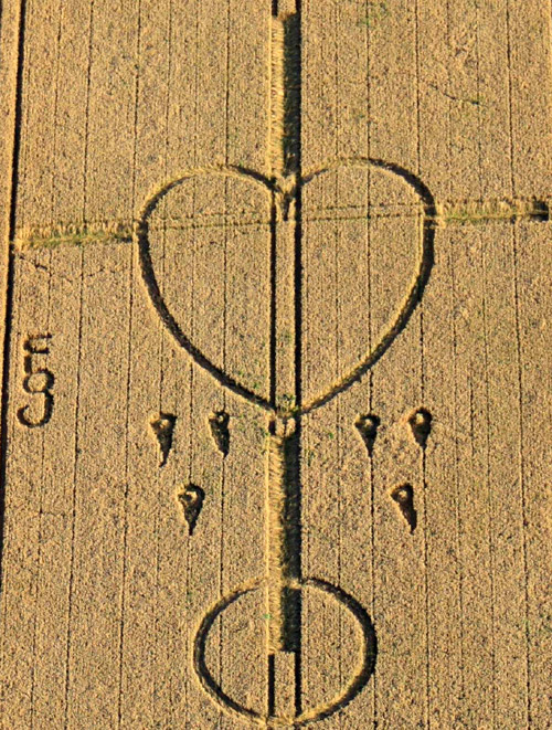 The Ridgeway, Wiltshire crop circle, aerial photo 5