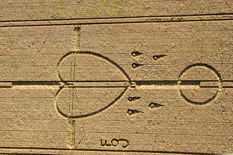 The Ridgeway, Wiltshire crop circle, aerial photo 6